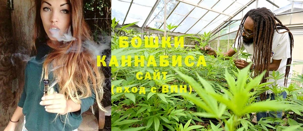стаф Баксан
