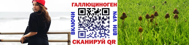 Псилоцибиновые грибы MAGIC MUSHROOMS  Каменка 